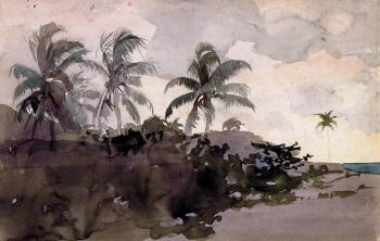 Winslow Homer : Coconut Palms
